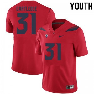 Youth Trey Cartledge Red Wildcats #31 Jersey 624054-299