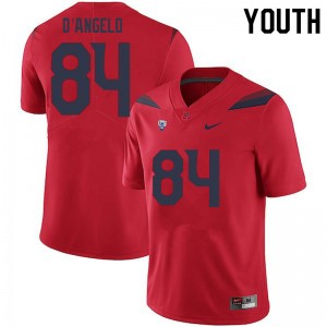 Youth Tristen D'Angelo Red University of Arizona #84 Jersey 770662-964