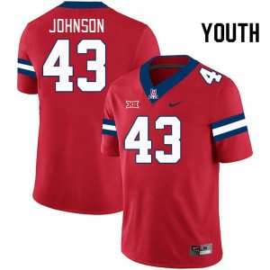 Youth Dalton Johnson Red Arizona Wildcats #43 Big 12 Conference Jersey 378371-152