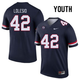 Youth Dominic Lolesio Navy University of Arizona #42 Jersey 331295-736