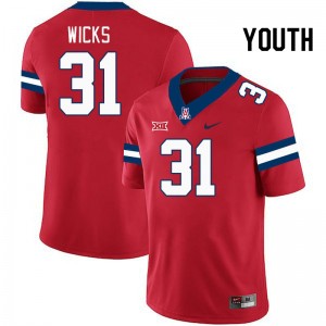 Youth Kaden Wicks Red Wildcats #31 Big 12 Conference Jersey 677195-112