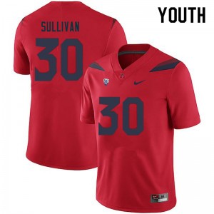 Youth Quinn Sullivan Red Arizona Wildcats #30 Jersey 352044-234