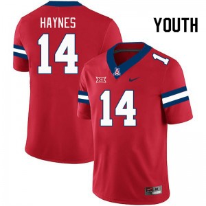 Youth Rex Haynes Red University of Arizona #14 Big 12 Conference Jersey 633656-959